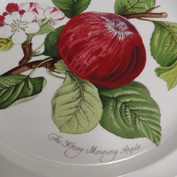 Pomona by Portmeirion Goddess of Fruit China Salad Plate - Hoary Morning Apple - Picture 6 of 9